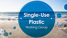Single-Use Plastic Working Group