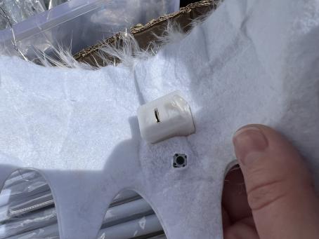 Tiara Perth Royal Show