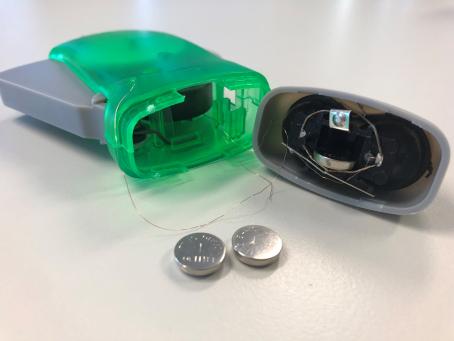 2021 royal show torch.jpg