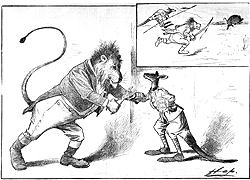 The Bulletin 2 June 1900 graphic English lion meets Australian kangaroo - Constitutional Centre of Western Australia