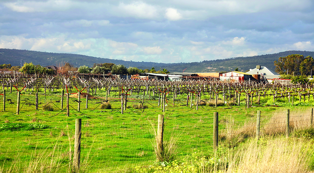 open field with hills in the horizon