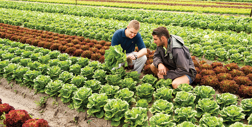 Future of Food Conference