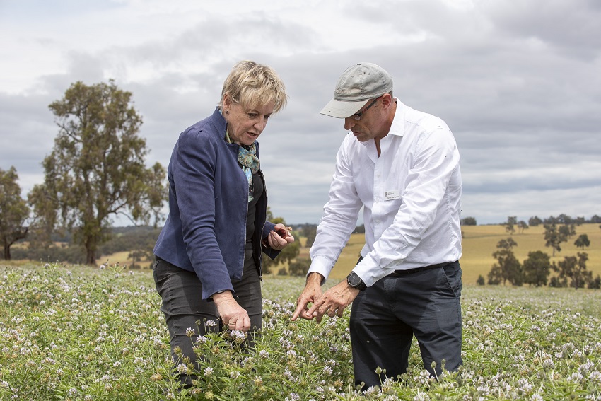 Minister for Agriculture and Food Alannah MacTiernan discusses increasing soil carbon by growing perennial pastures with scientist Daniel Real 