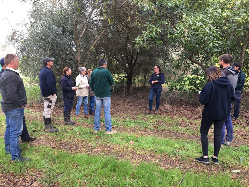 DPIRD research scientist Alison Mathews presenting to a group of avocado grows in Manjimup