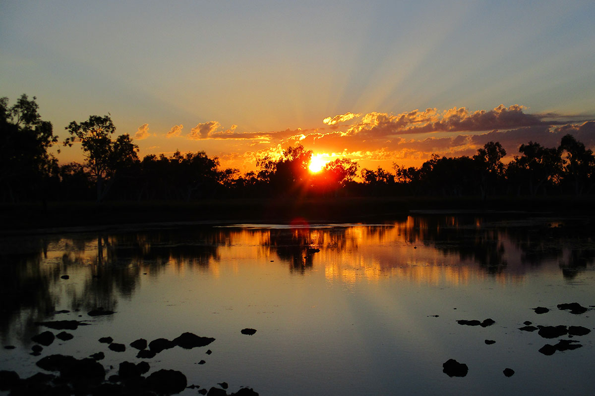 A sun setting behind a silhouette of trees at a lake.