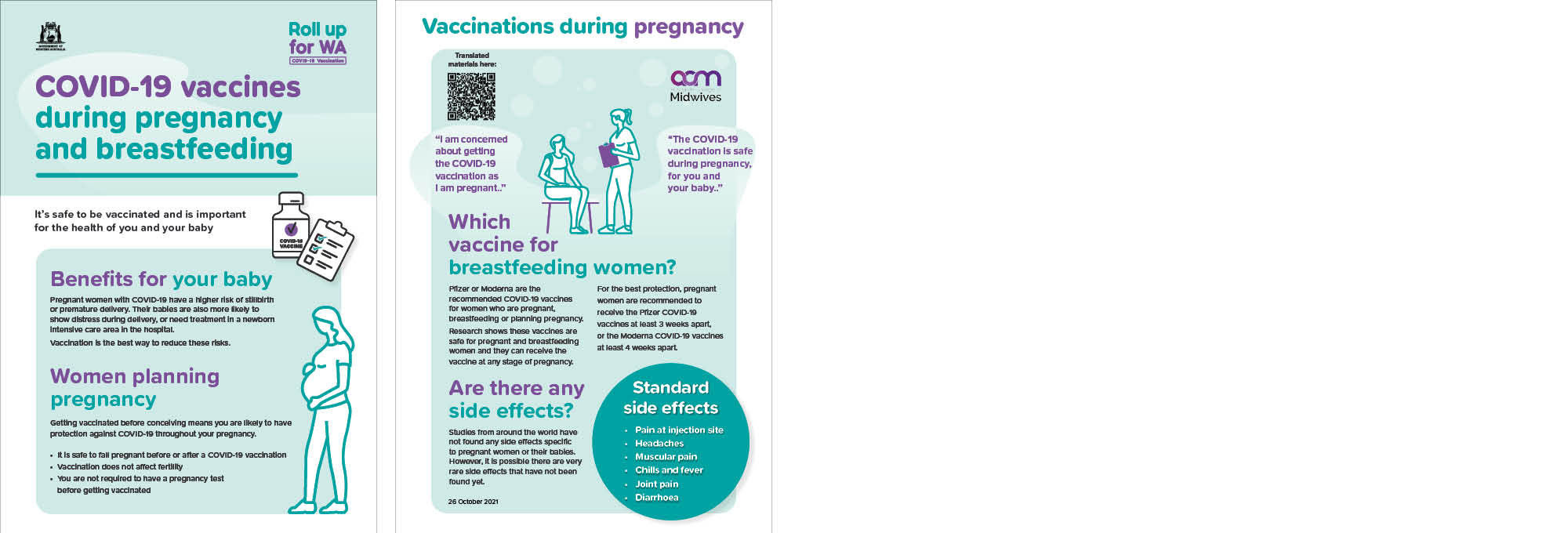 Stakeholder toolkit preview showing pregnancy flyer