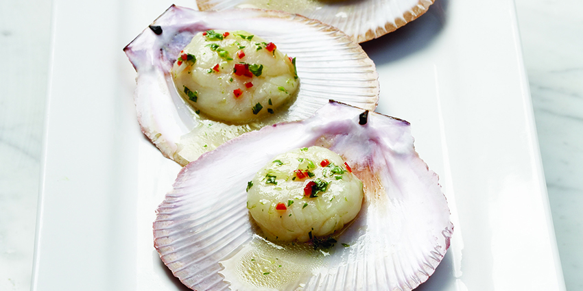 Saucer Scallops