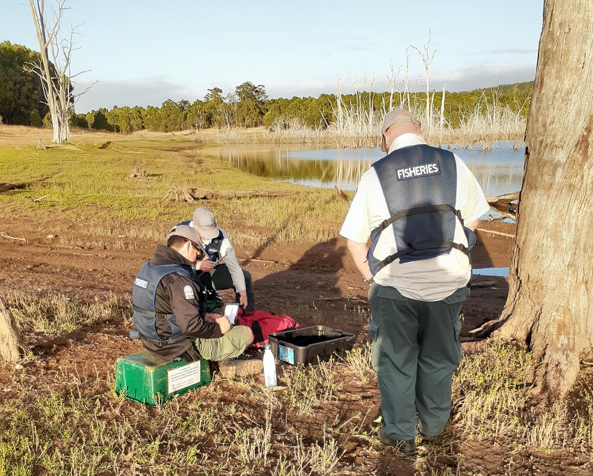Fisheries officers measuring marron