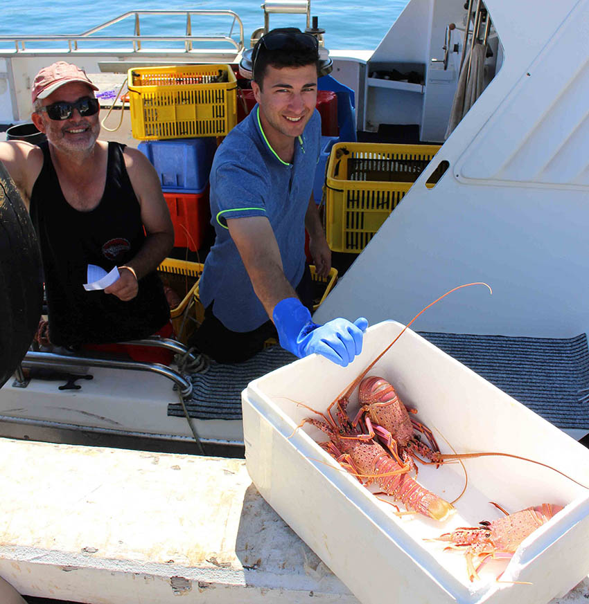 rock lobster boat