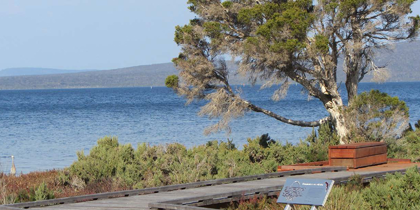 Aboriginal heritage site with bushland and lake