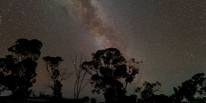 Night sky view