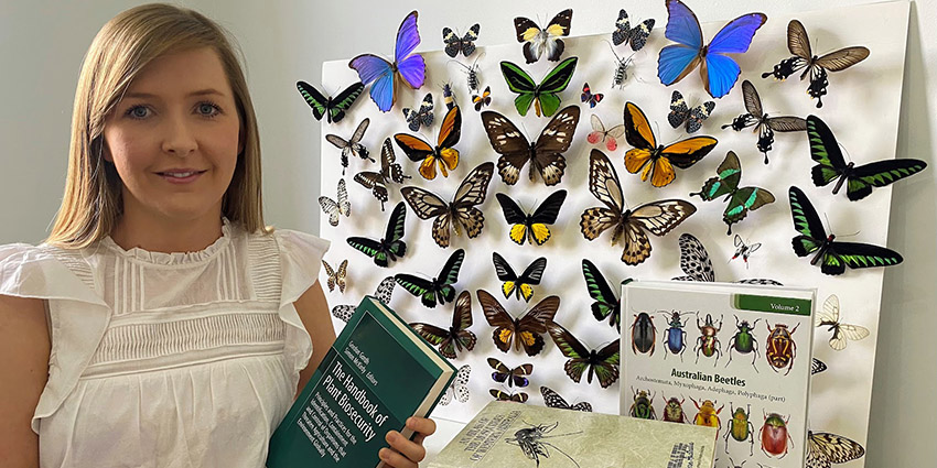 Elsie Insect Detective