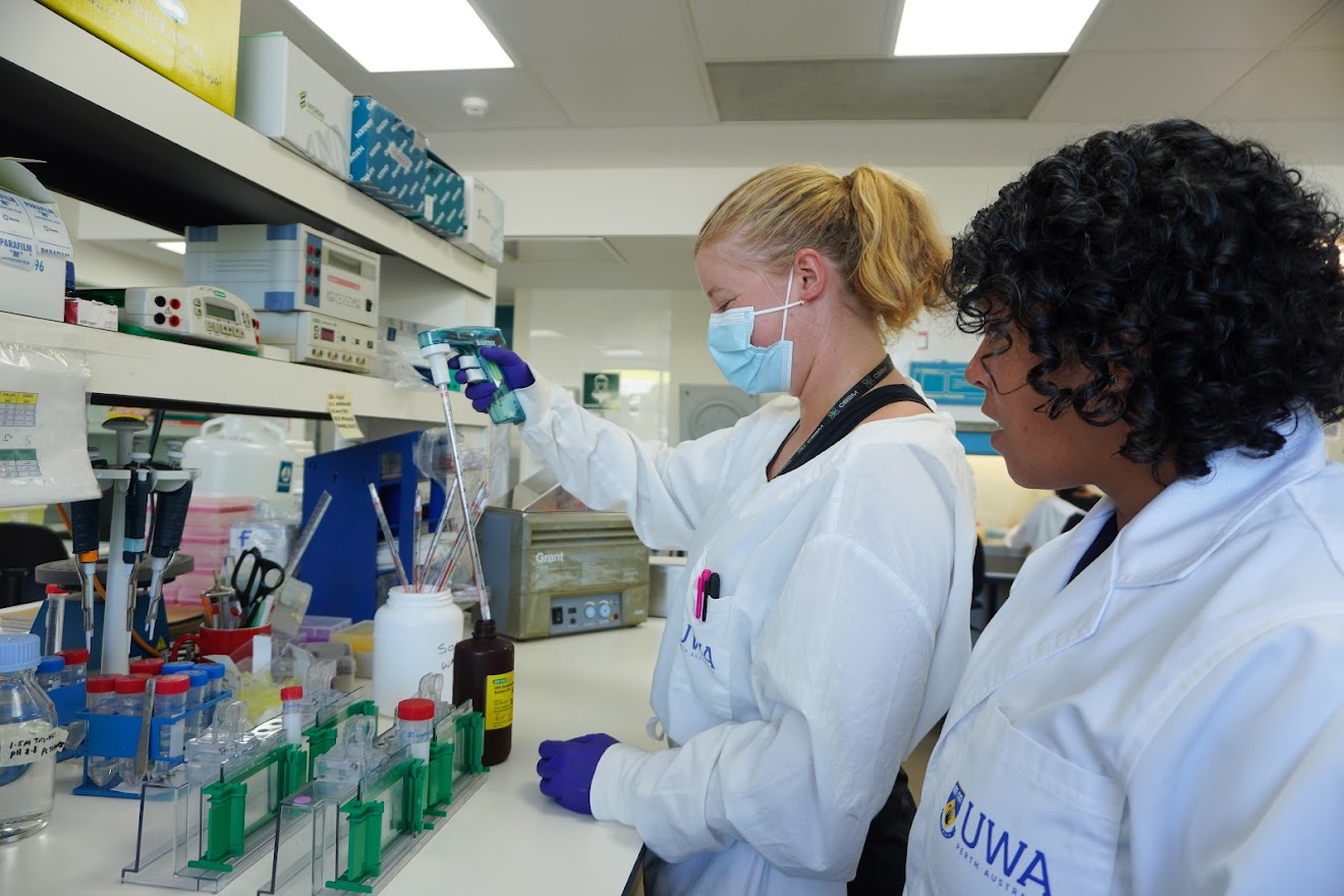 Scientist examining test tubes
