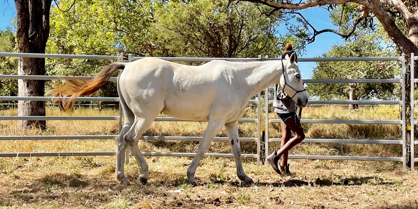 Participants in Koordoormitj Djookian (Sisters) Club project