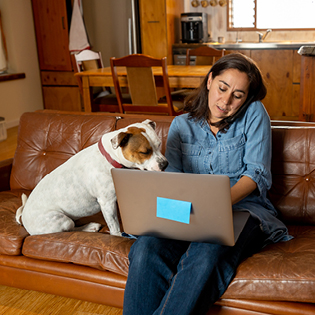 A woman sitting on the couch on the phone and a laptop in a countryside household. A dog is sitting next to her on the couch.