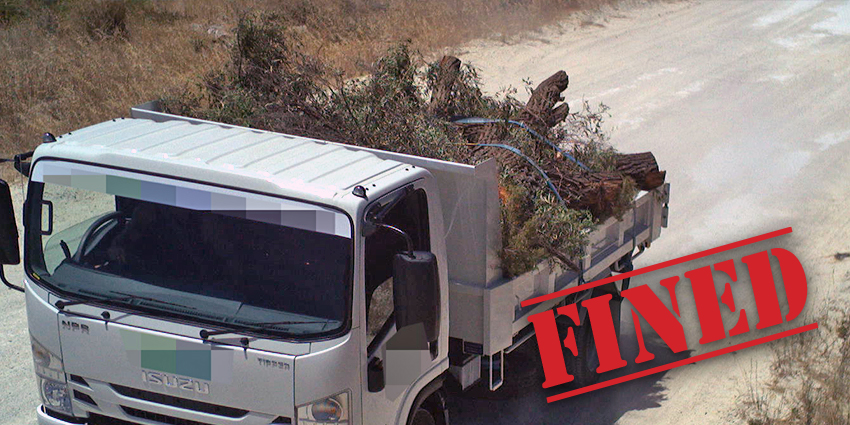 Green Waste fined Robinson