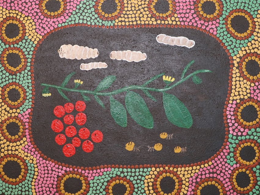 Aboriginal Artwork By Rodney Carey Bush Tucker