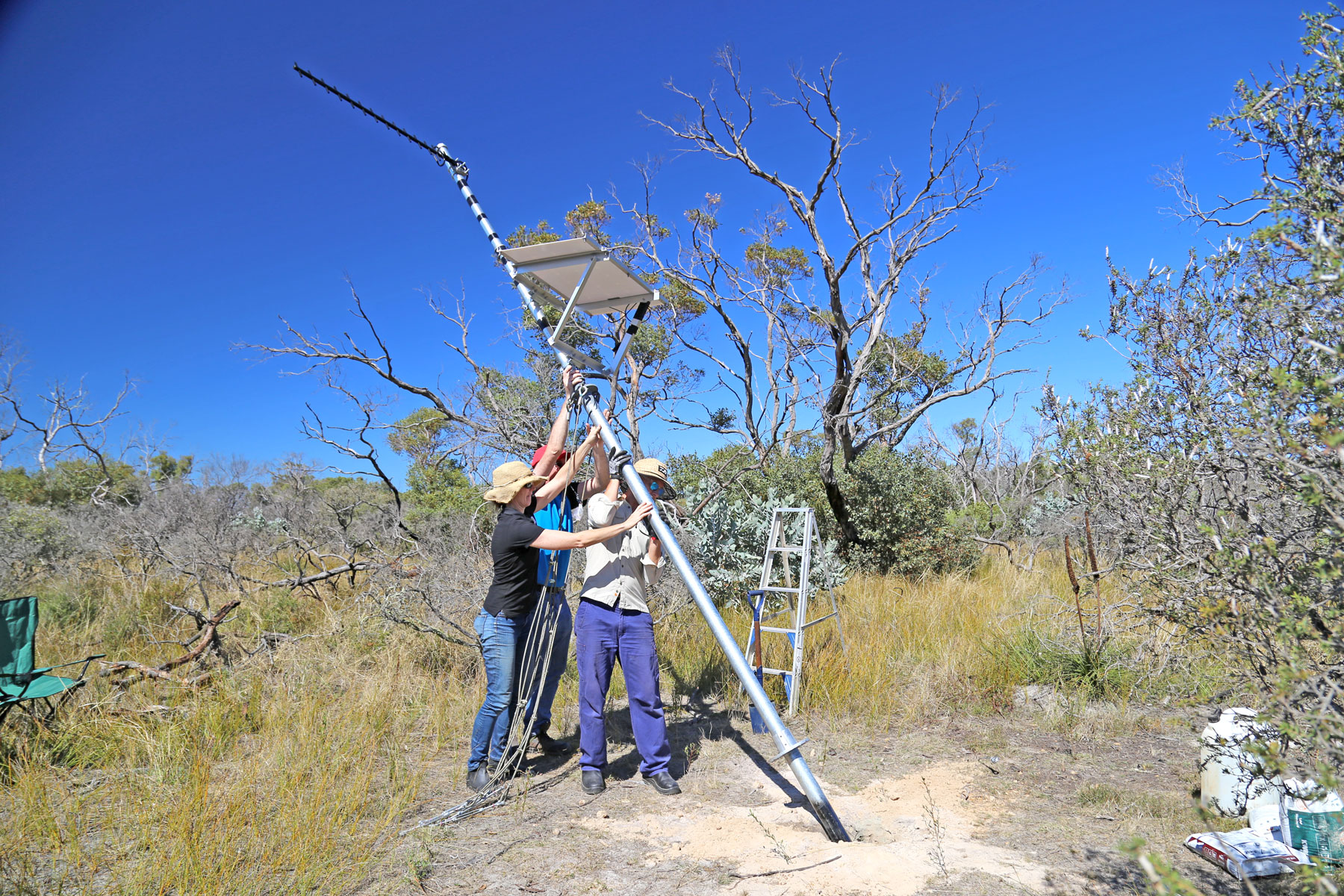 Team install acoustic detection tower for starlings at Bremer Bay site.