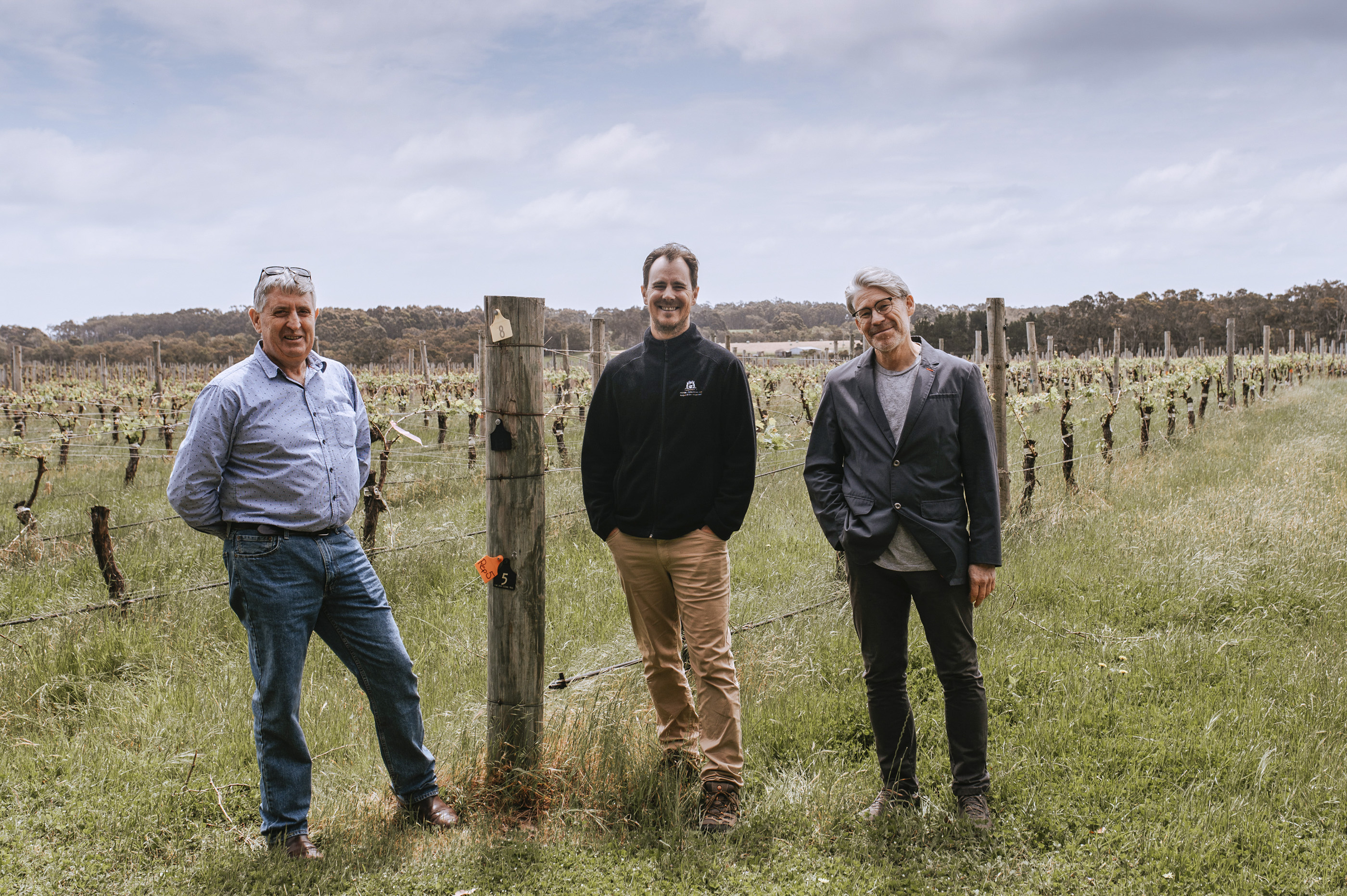 Howard Park Wines chief viticulturalist David Botting (left), DPIRD research scientist Richard Fennessy and Wines of West Australia CEO, Larry Jorgensen inspect a unique trial of cabernet sauvignon wine clone grapes at Howard Park Wines, Margaret River.