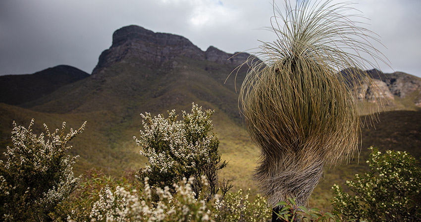 Bluff Noll national park