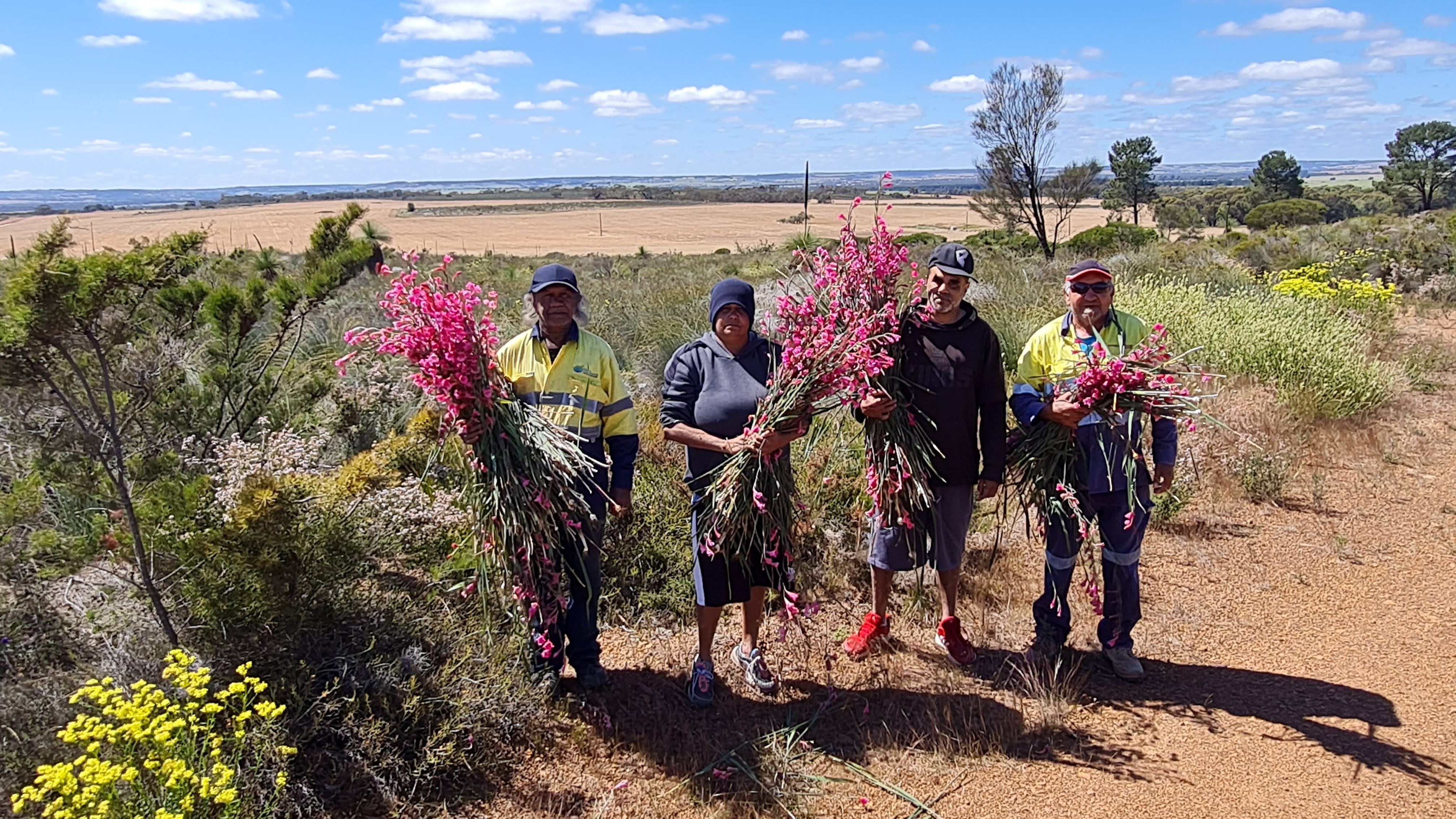 Volunteers removing weedy Gladioli in Moore River Catchment