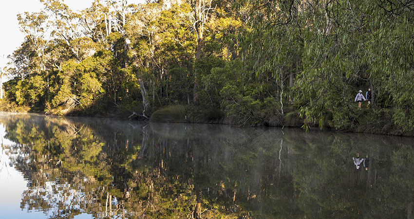 NFT Business Transition