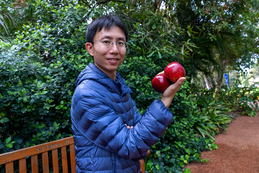 International research scholarship recipient Zhe Gao holding apples 