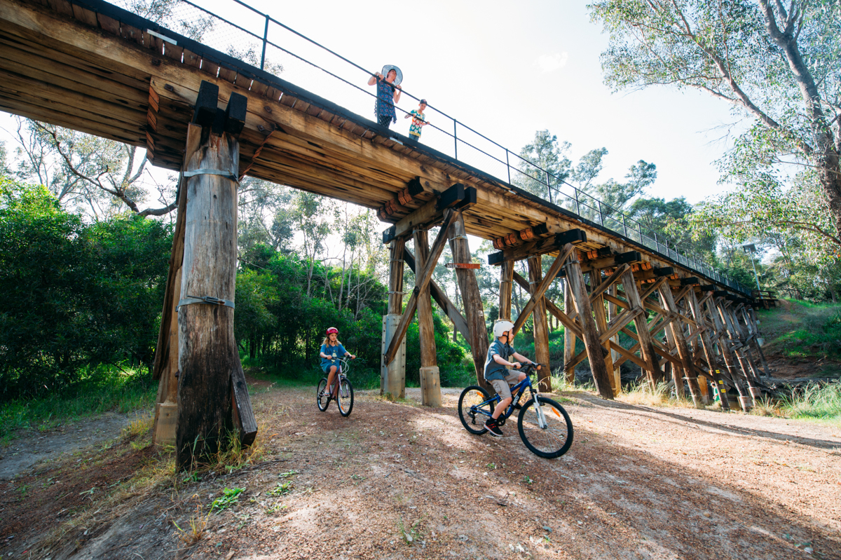 NFT bridge bike SBDD