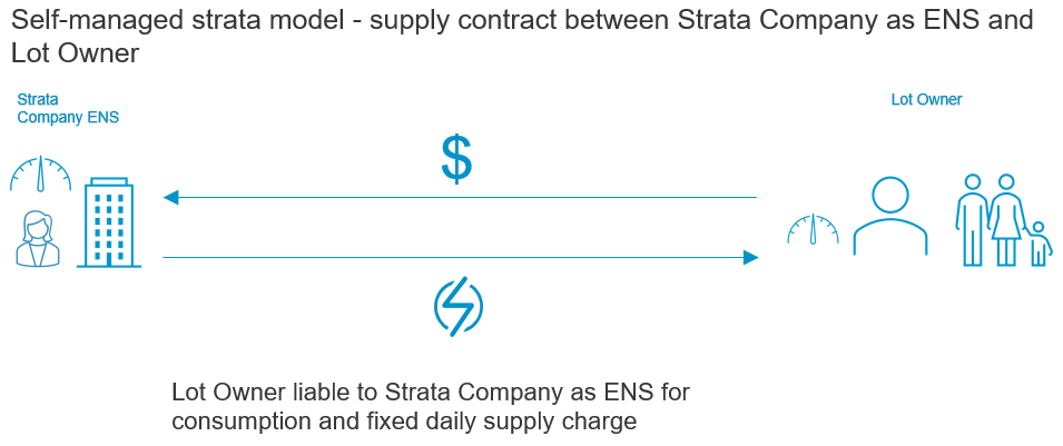 Self-managed strata model