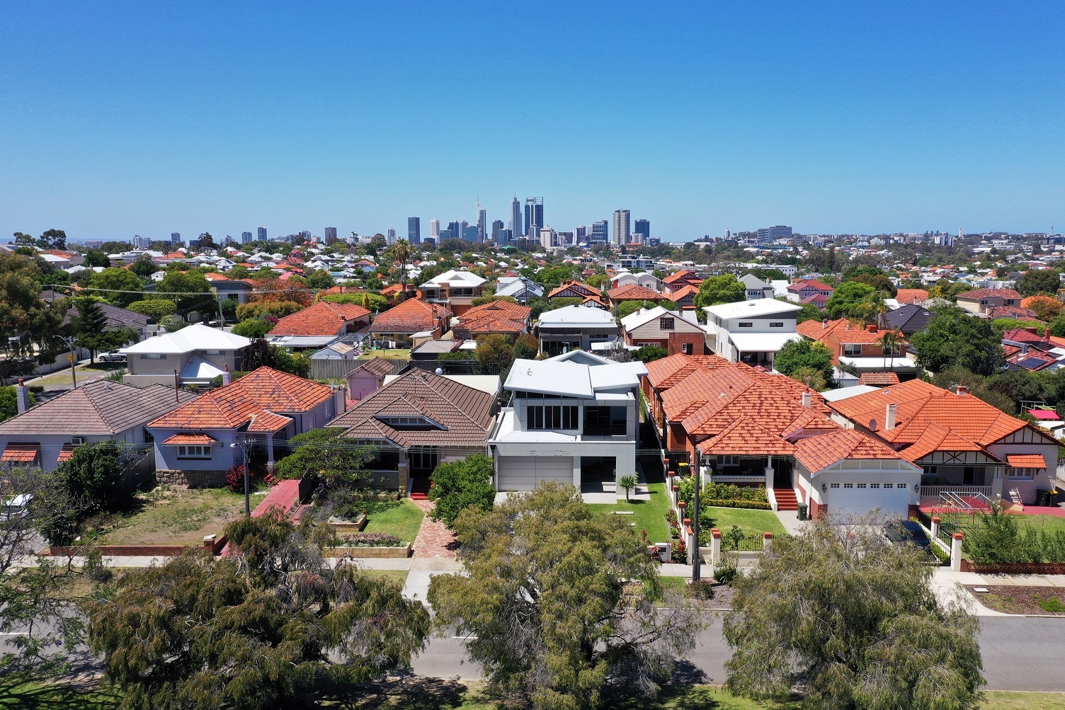 photo of houses and trees in a Perth suburb with the city skyline in the background