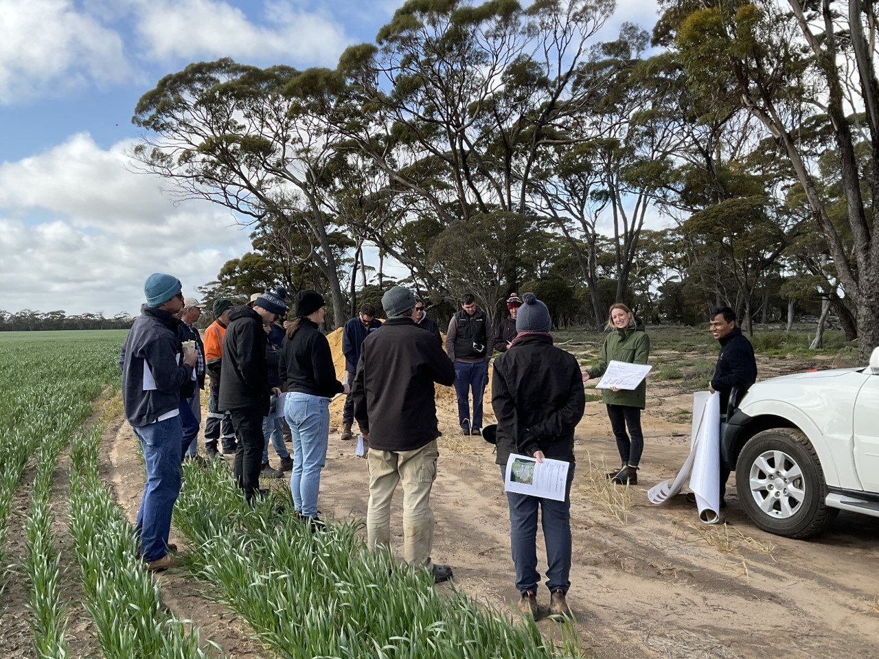 DPIRD research scientist Alice Butler and others on edge of field for sampling project