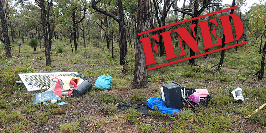 Litter in bushland in suburb of Leslie