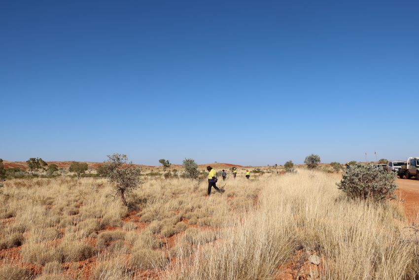 Four rangers walking across red dirt and shrubbery
