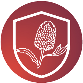 A graphic of a banksia surrounded by a shield 