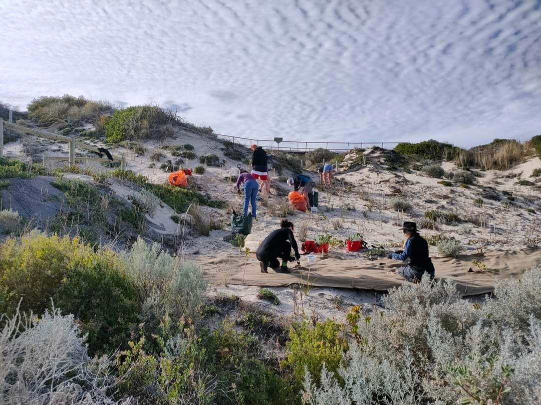 Cambridge Coastcare Floreat Beach