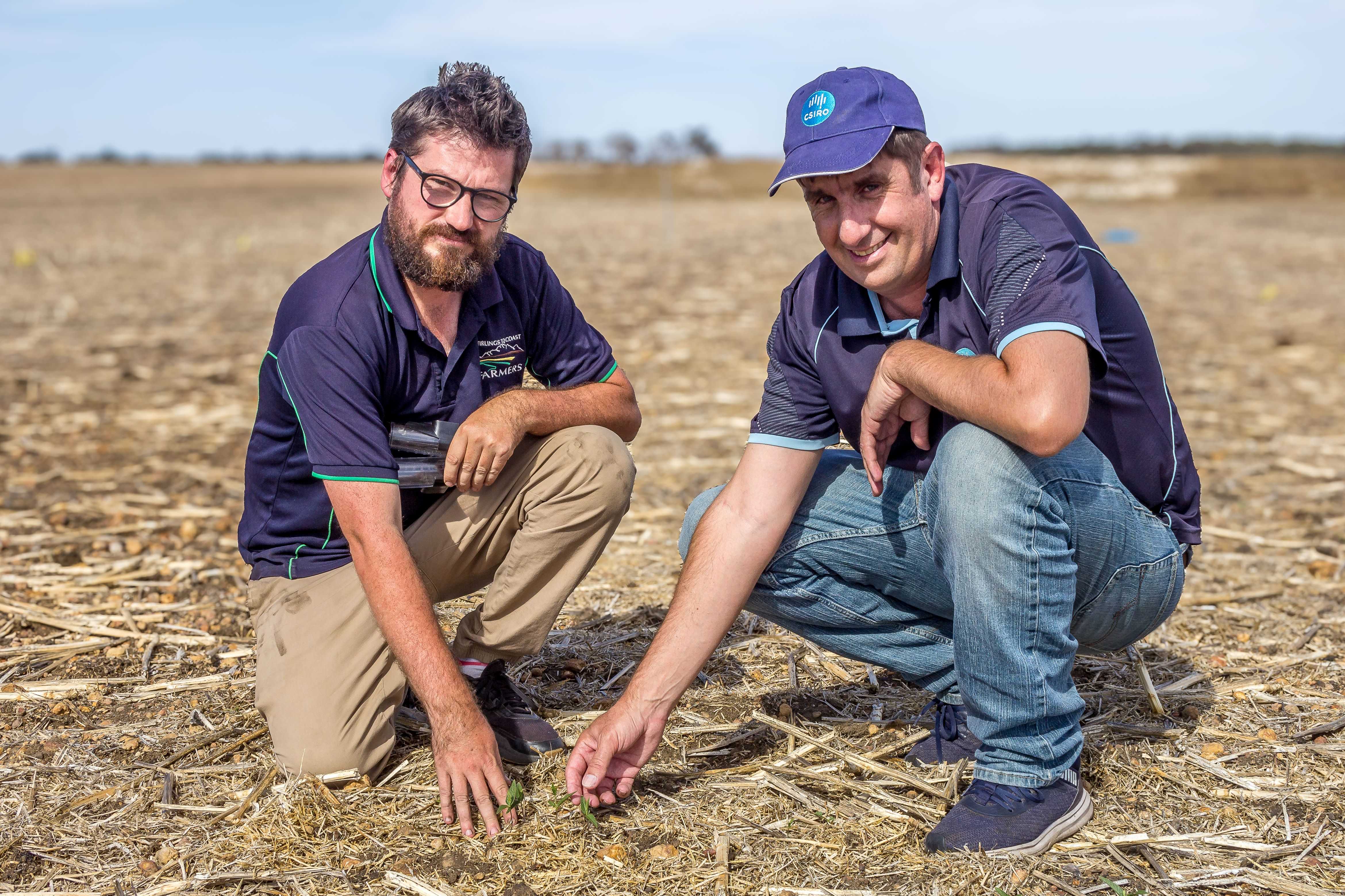 Dan Fay, Stirlings to Coast Farmers, and Dr Andrew Fletcher, CSIRO