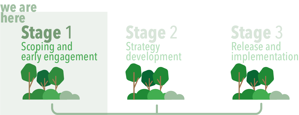 Infographic depicting three stages of the Urban Green Strategy