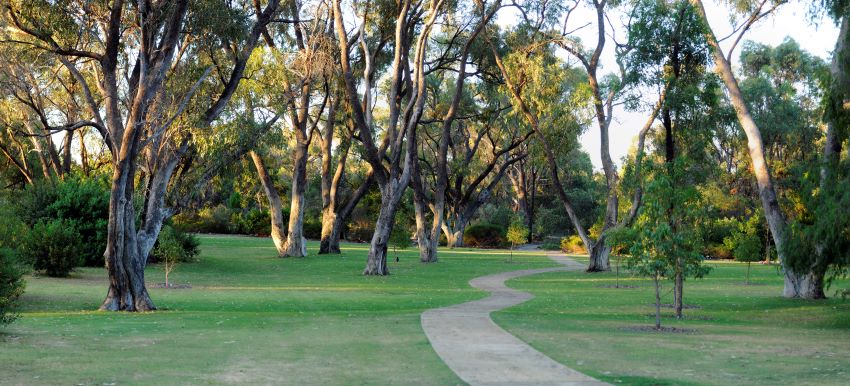 family tree memorials at Pinnaroo
