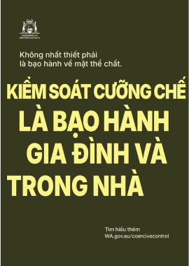 Coercive control poster 2 in traditional vietnamese