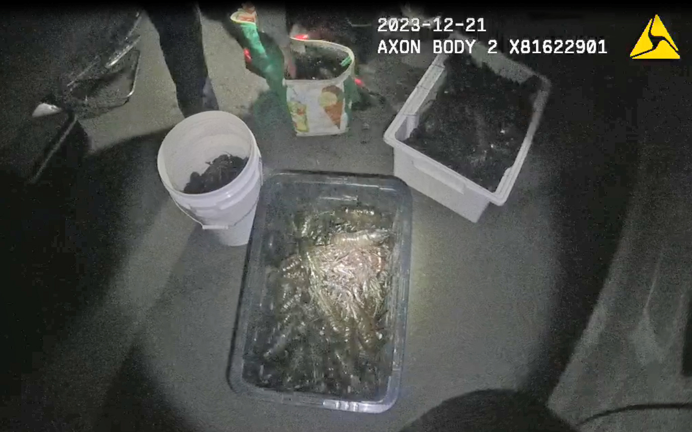 Officer found 153 marron taken out of season