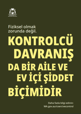 Coercive control poster 2 in traditional turkish