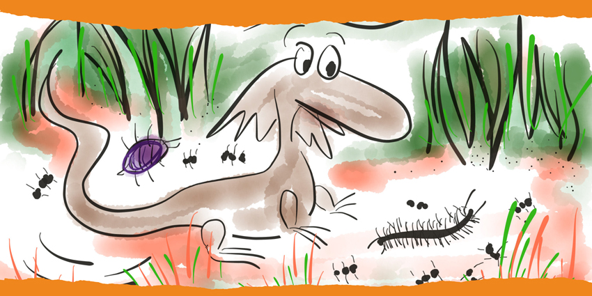 Colourful hand-drawn illustration of Frongo the frill neck lizard