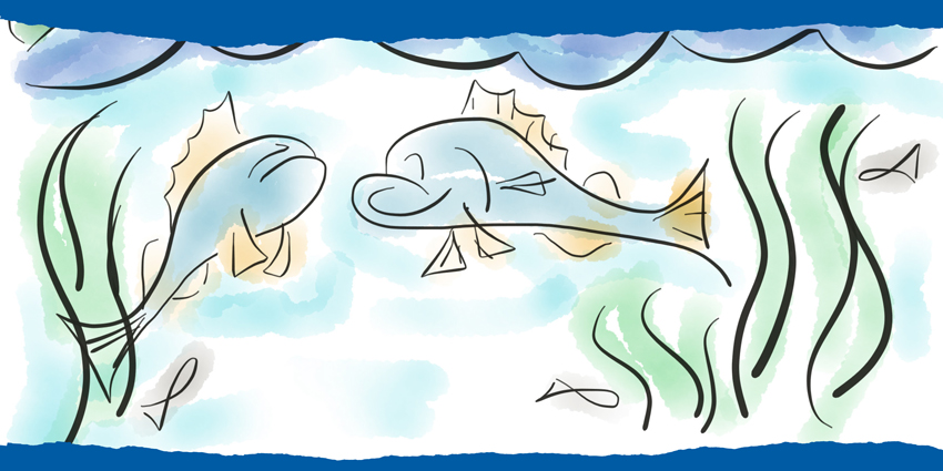 Colourful hand-drawn illustration of Bailey the Barramundi