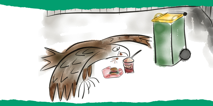 Colourful hand-drawn illustration of Eli the Eagle