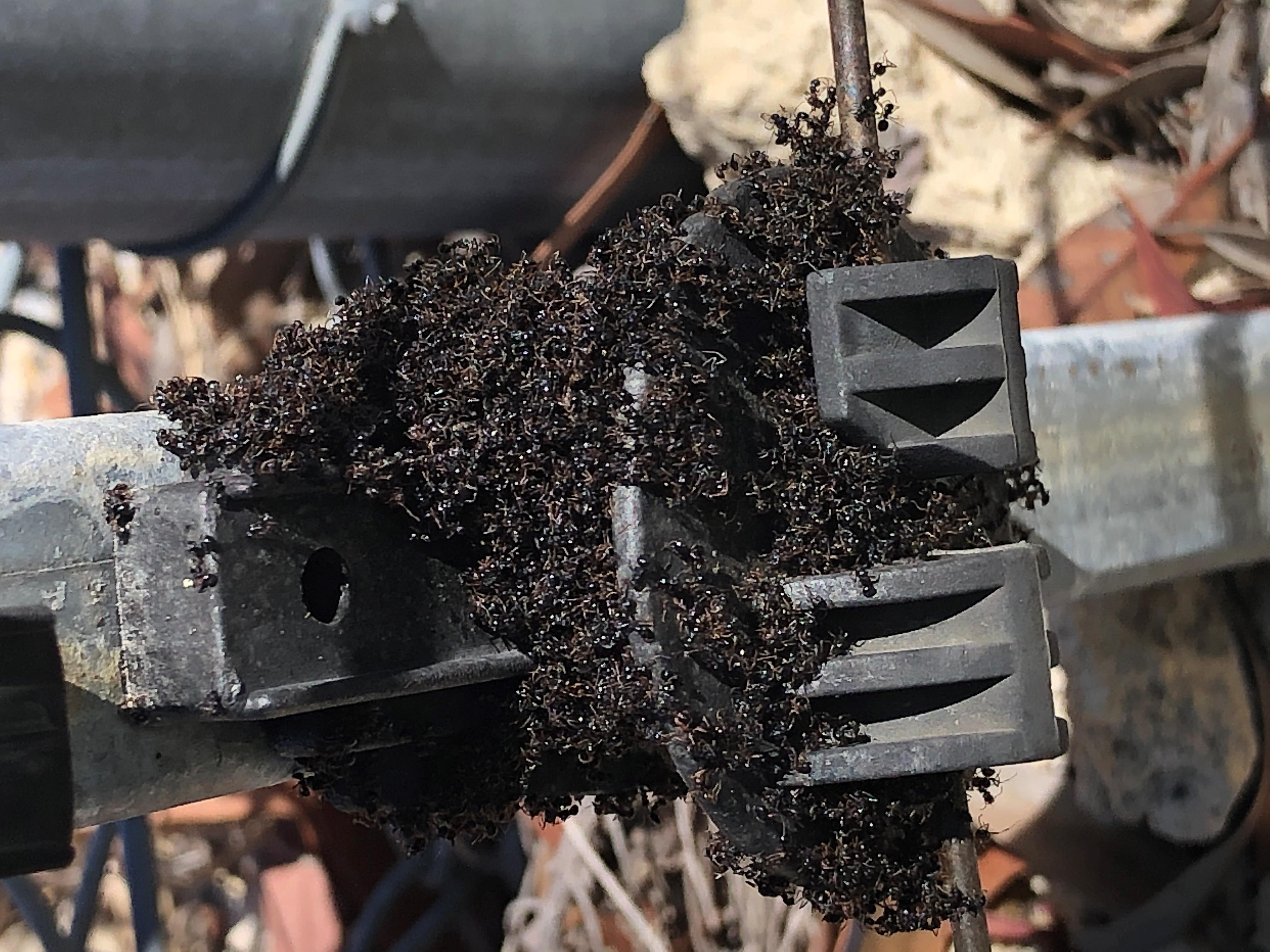 A cluster of ants of a piece of machinery.