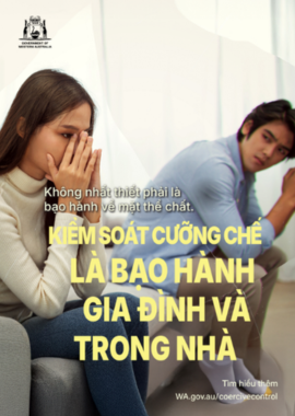 coercive control poster 1 in vietnamese