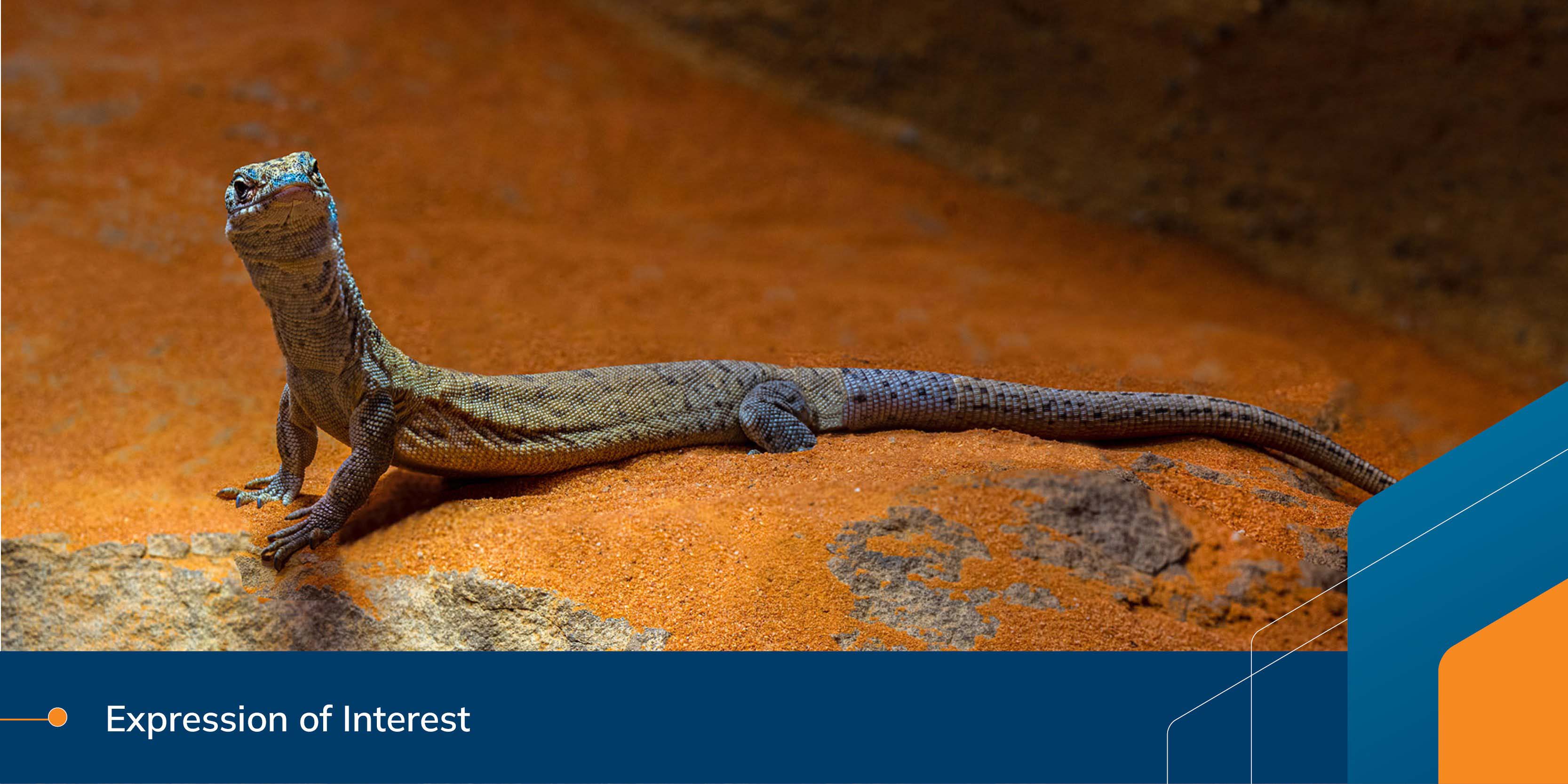 Pilbara Energy Transition (PET) Plan - Expressions of Interest for Priority Projects