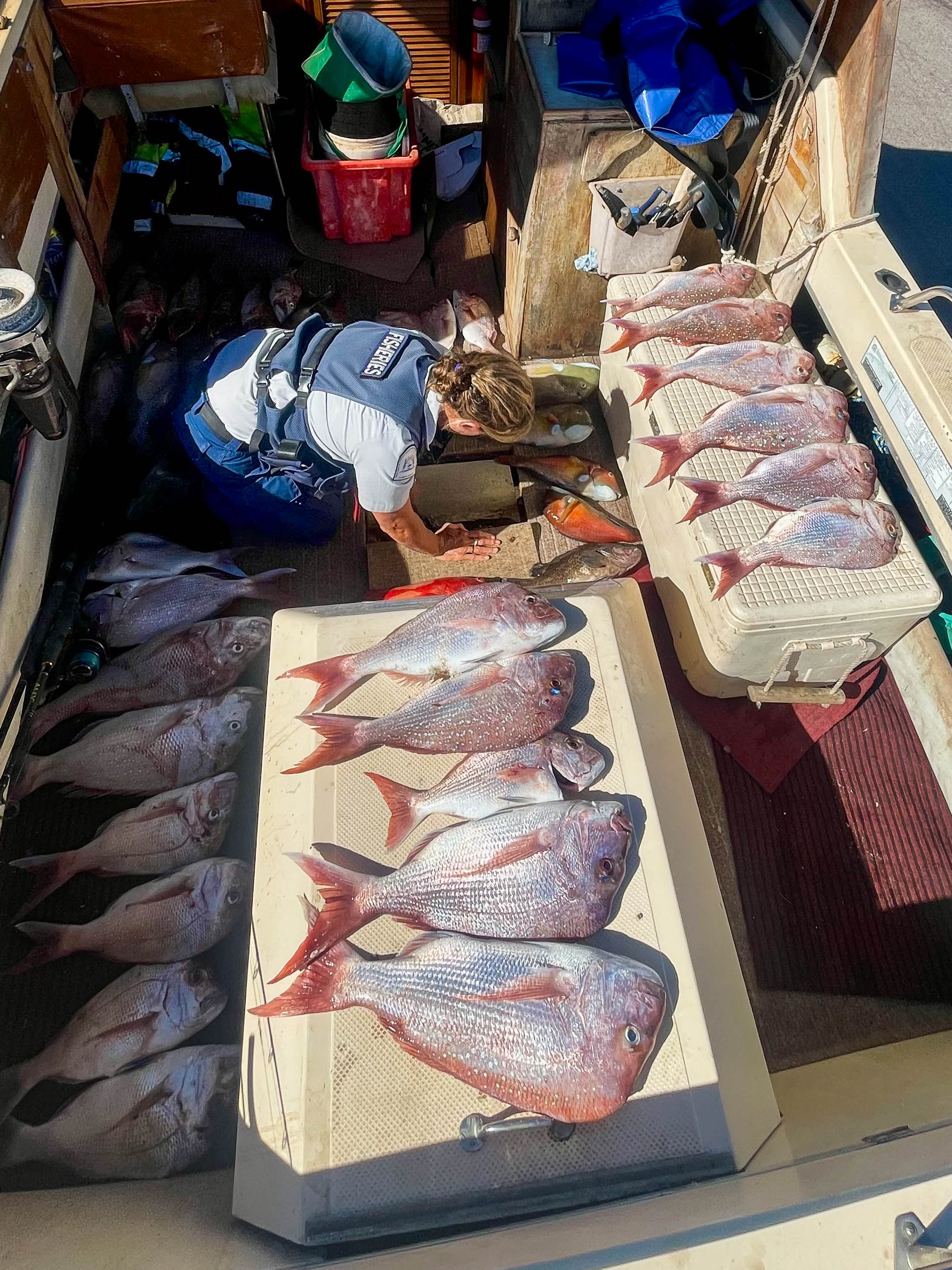 Midwest FMO examines the catch on board