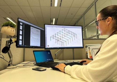 Audit team member at computer 