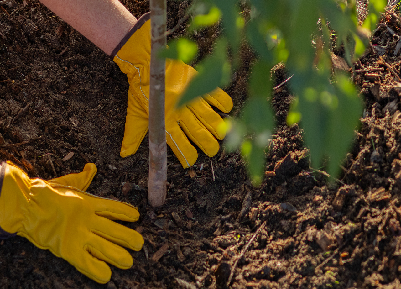 residential_rebates_tile_photo 2025 dwer